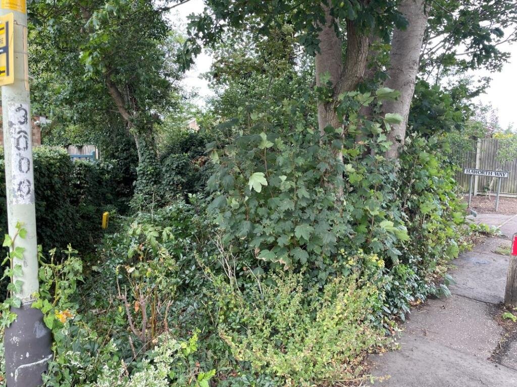 A 60-yard public footpath in Norwich is up for auction for £2,000. The new owner must maintain the walkway connecting locals to a park near Eaton Golf Club.