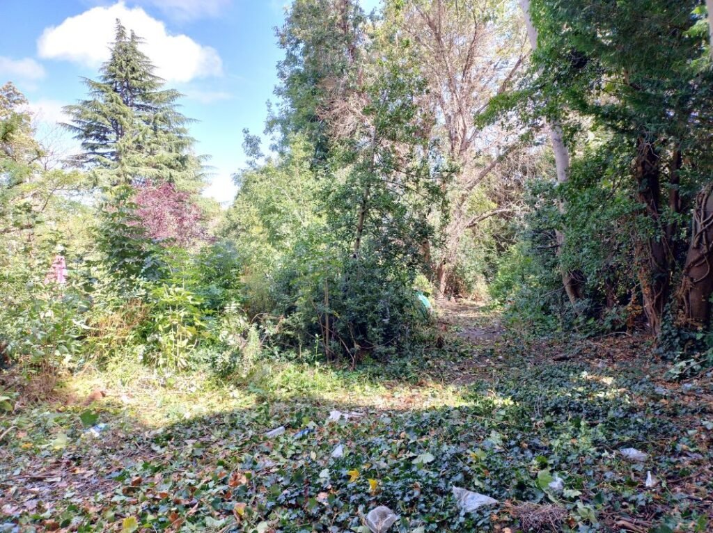 A nine-bedroom detached house in Lewisham priced at £615,000 is up for sale, but its crumbling bathroom and dated interior require a full refurbishment project.