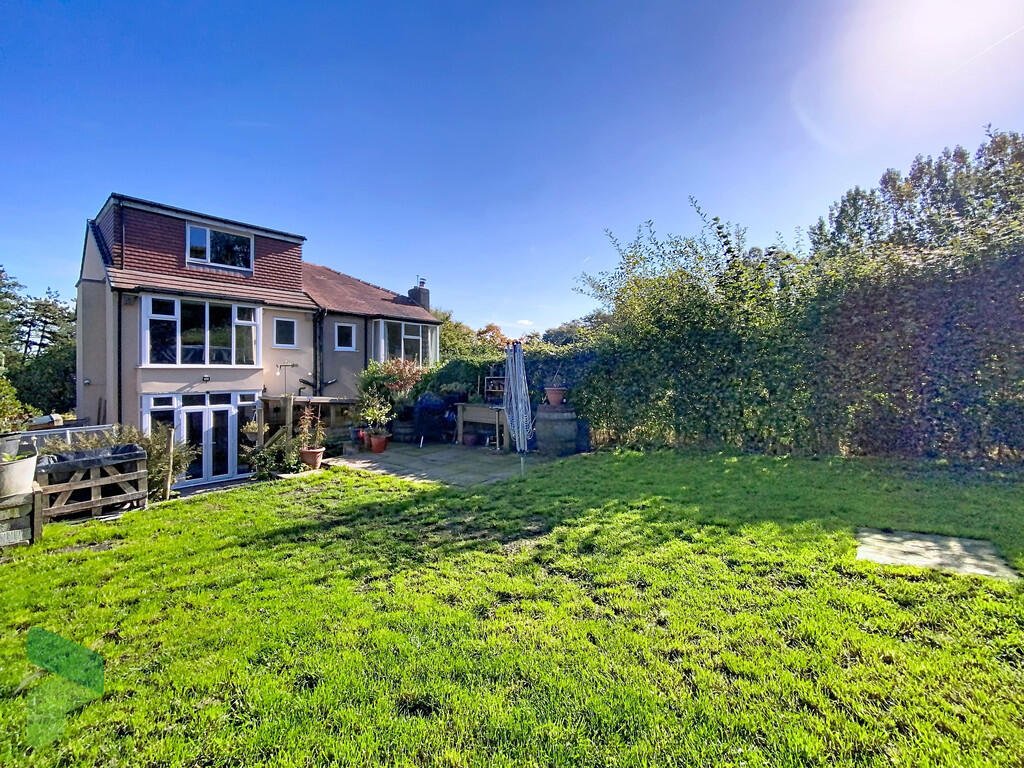 A three-bedroom home in Darwen hides a colorful secret inside – it’s a parrot paradise with bird cages, tropical plants, and even a tree at its heart, listed for £285,000.