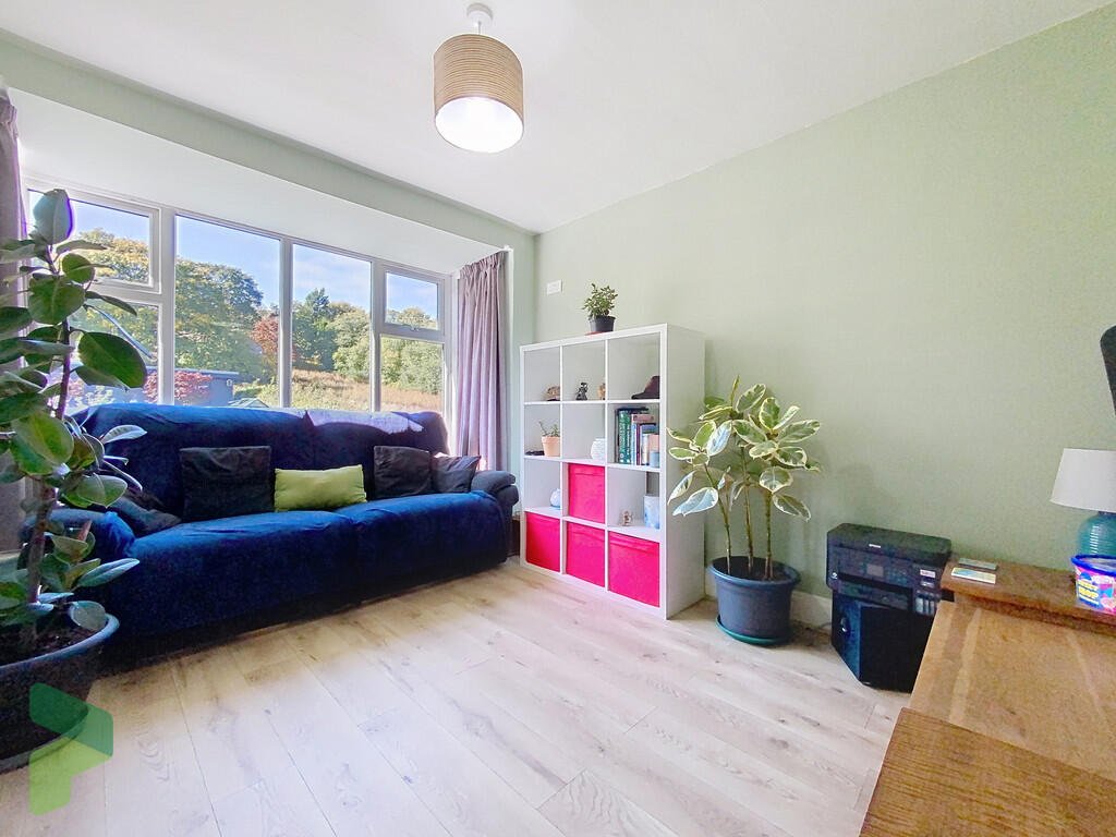 A three-bedroom home in Darwen hides a colorful secret inside – it’s a parrot paradise with bird cages, tropical plants, and even a tree at its heart, listed for £285,000.