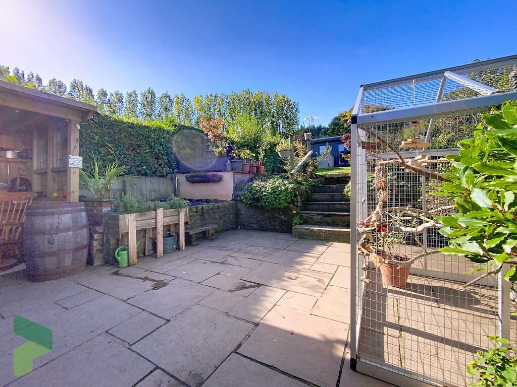 A three-bedroom home in Darwen hides a colorful secret inside – it’s a parrot paradise with bird cages, tropical plants, and even a tree at its heart, listed for £285,000.