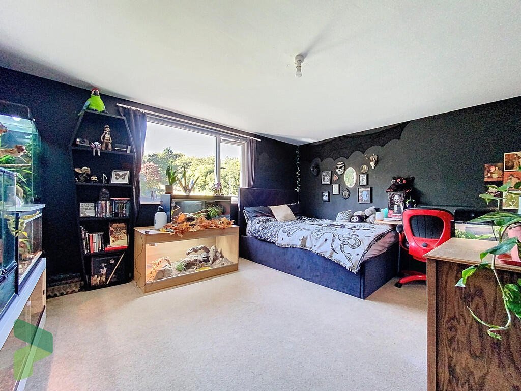 A three-bedroom home in Darwen hides a colorful secret inside – it’s a parrot paradise with bird cages, tropical plants, and even a tree at its heart, listed for £285,000.