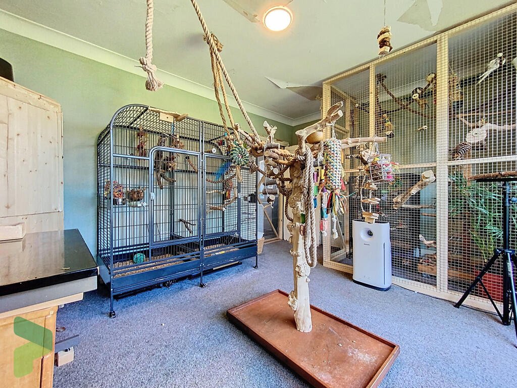 A three-bedroom home in Darwen hides a colorful secret inside – it’s a parrot paradise with bird cages, tropical plants, and even a tree at its heart, listed for £285,000.