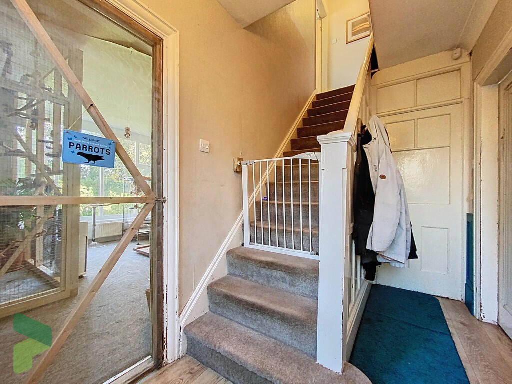 A three-bedroom home in Darwen hides a colorful secret inside – it’s a parrot paradise with bird cages, tropical plants, and even a tree at its heart, listed for £285,000.