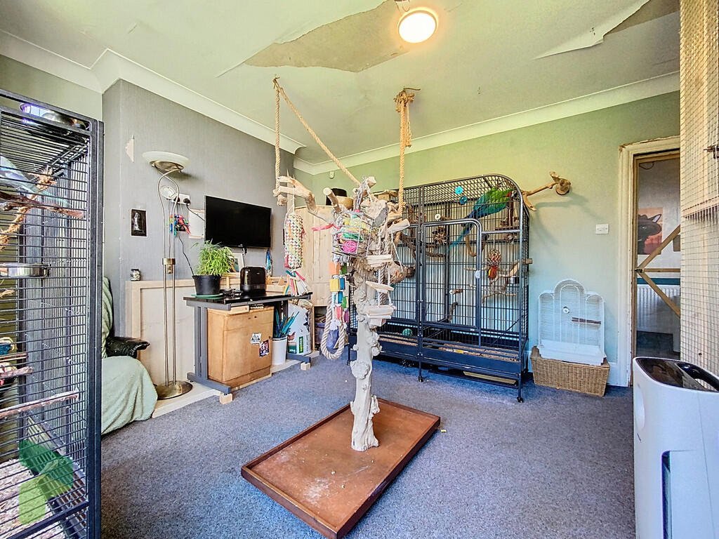 A three-bedroom home in Darwen hides a colorful secret inside – it’s a parrot paradise with bird cages, tropical plants, and even a tree at its heart, listed for £285,000.