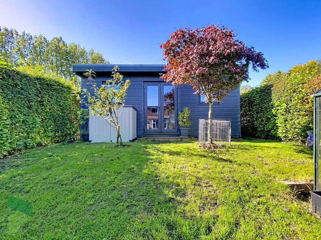 A three-bedroom home in Darwen hides a colorful secret inside – it’s a parrot paradise with bird cages, tropical plants, and even a tree at its heart, listed for £285,000.