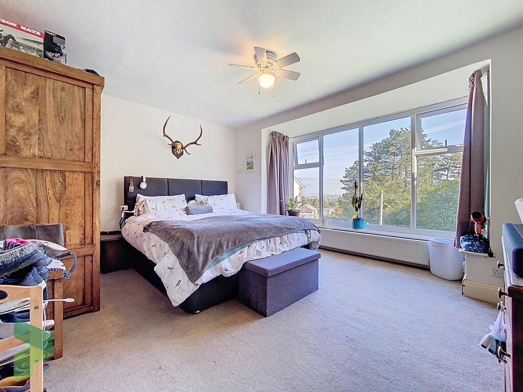 A three-bedroom home in Darwen hides a colorful secret inside – it’s a parrot paradise with bird cages, tropical plants, and even a tree at its heart, listed for £285,000.