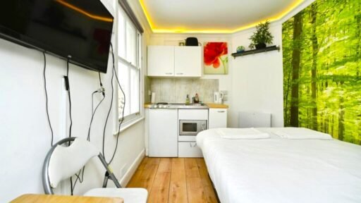 A Brighton studio flat so small you can cook from bed is on sale for £110,000, offering a compact seafront retreat with a kitchen, shower room and shared freehold.