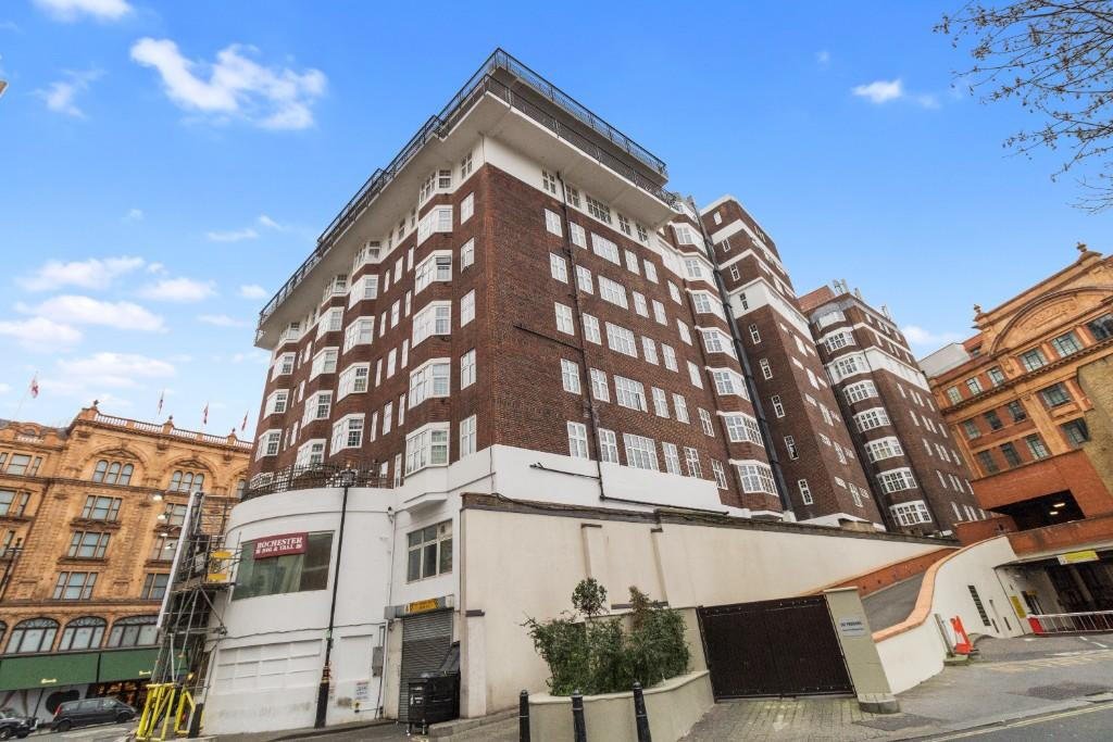 A shocked Lidl shopper found a live gecko inside a bag of rocket salad after the reptile survived a long refrigerated journey from Italy to Poland before discovery.