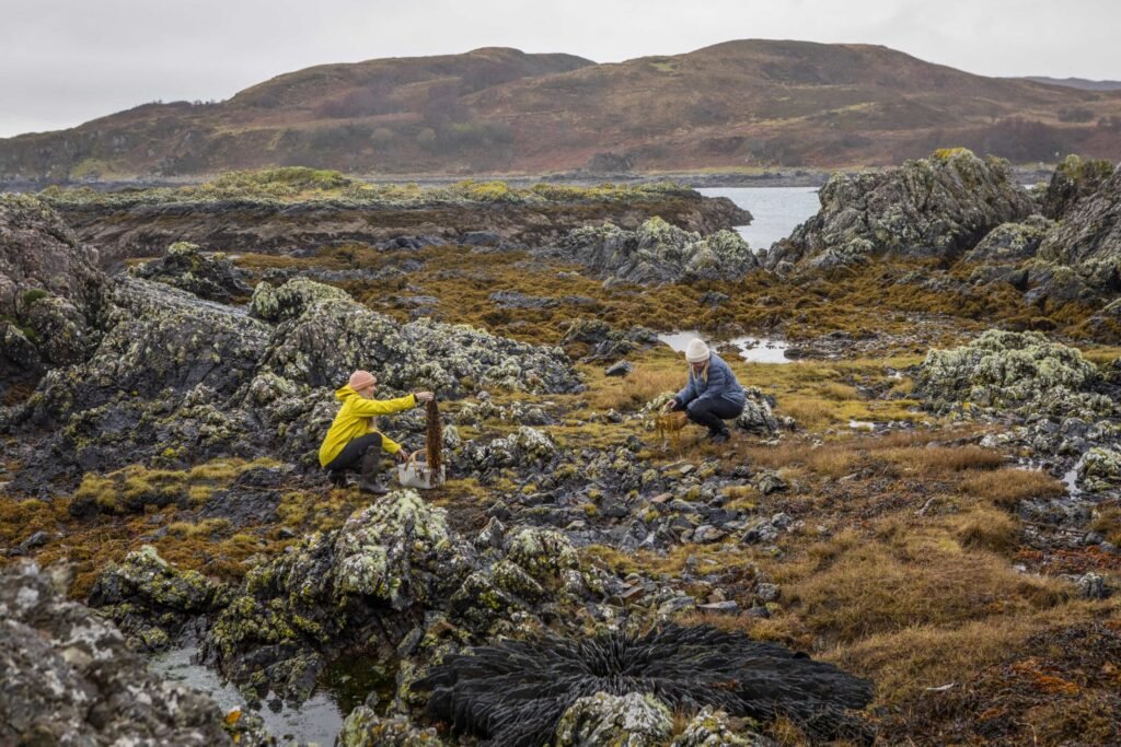 A private island in Scotland offers a three night Silent Night Experience for just £20, giving guests a peaceful off grid Christmas stay with nature, calm activities and coastal views.
