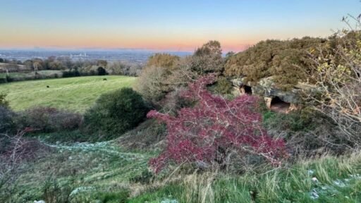 A 7.5 acre plot with hidden 500 year old Frodsham Caves is up for auction for 55000 offering a rare chance to own a mysterious underground sandstone cave network.