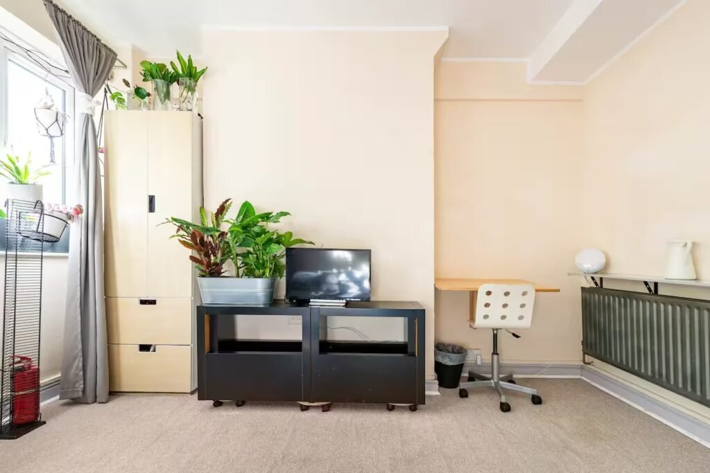 A tiny London studio flat in Bermondsey costs £1,390 a month and requires tenants earning £51,000 a year, with strict rules banning pets, smoking, parties and even a real bed.