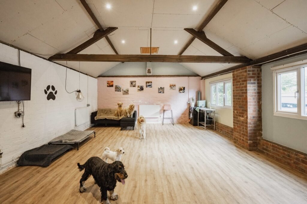 British countryside mansion listed for £900k comes with a unique bonus - a fully operating doggy day care business earning £50k a year hidden in the garden.