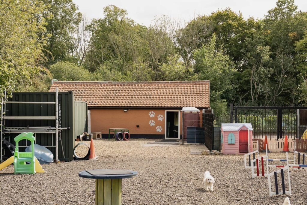 British countryside mansion listed for £900k comes with a unique bonus - a fully operating doggy day care business earning £50k a year hidden in the garden.