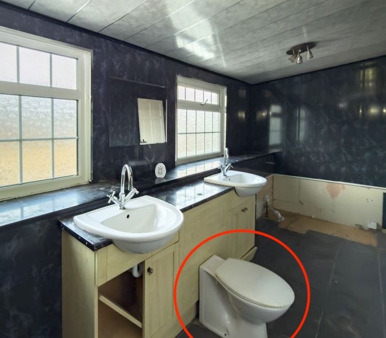 A quirky £80000 Burnopfield home hits auction featuring a bizarre bathroom with a toilet between two basins plus a spa bath fireplace lounge and garden in a village near Newcastle.