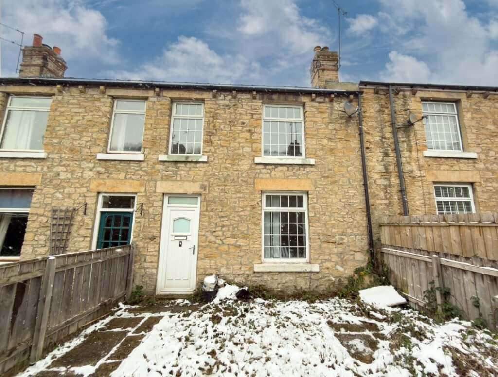 A quirky £80000 Burnopfield home hits auction featuring a bizarre bathroom with a toilet between two basins plus a spa bath fireplace lounge and garden in a village near Newcastle.