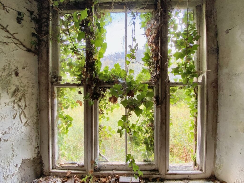 A £250,000 three bedroom home in Pembrokeshire is so derelict buyers are warned to enter at their own risk, offering two acres, huge renovation potential and countryside views.