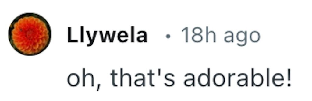 A £5 gingerbread house listing delights buyers with sweet themed rooms and candy features, offering a charity raffle entry for a real treat while raising funds for an animal shelter.