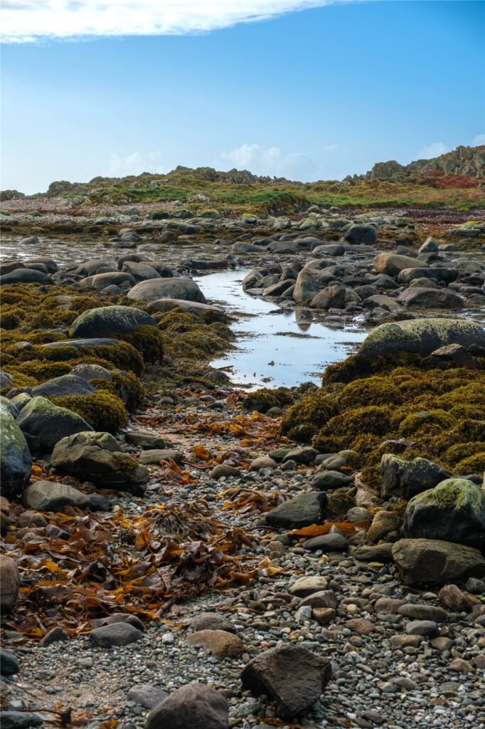 Stunning Scottish island with boathouse and sweeping sea views goes on sale for £50,000, but buyers are warned access is dangerous due to fast changing tides