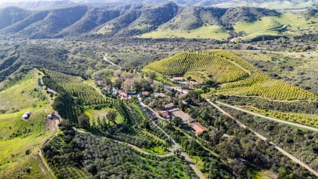 The late Herbalife co-founder Dick Marconi’s vast 1,225-acre California ranch estate with a private zoo, lemon orchards and luxury mansion has hit the market for $25 million.