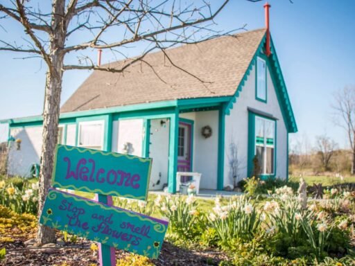 Storybook-style cottages inspired by a children's book are available to rent from £1,300 a month across three charming fairytale villages in upstate New York.