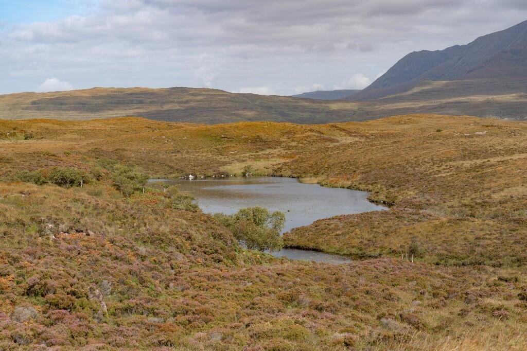 A private island off the Isle of Skye with 1,546 acres and zero neighbours is on sale for £925,000, offering the ultimate escape for anyone craving total isolation and wilderness.