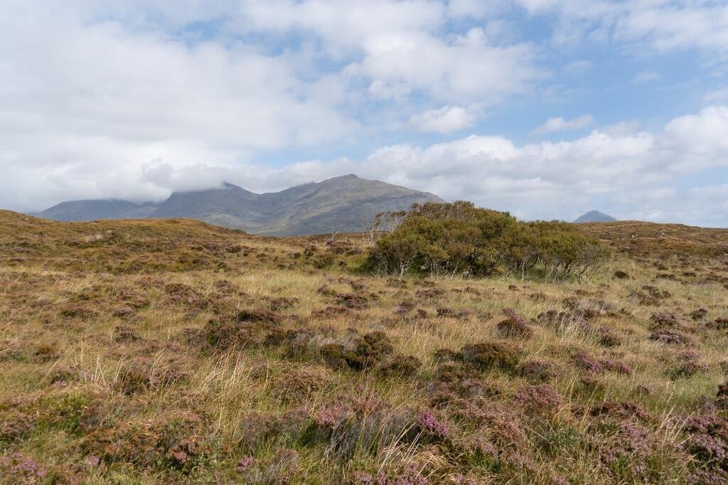 A private island off the Isle of Skye with 1,546 acres and zero neighbours is on sale for £925,000, offering the ultimate escape for anyone craving total isolation and wilderness.
