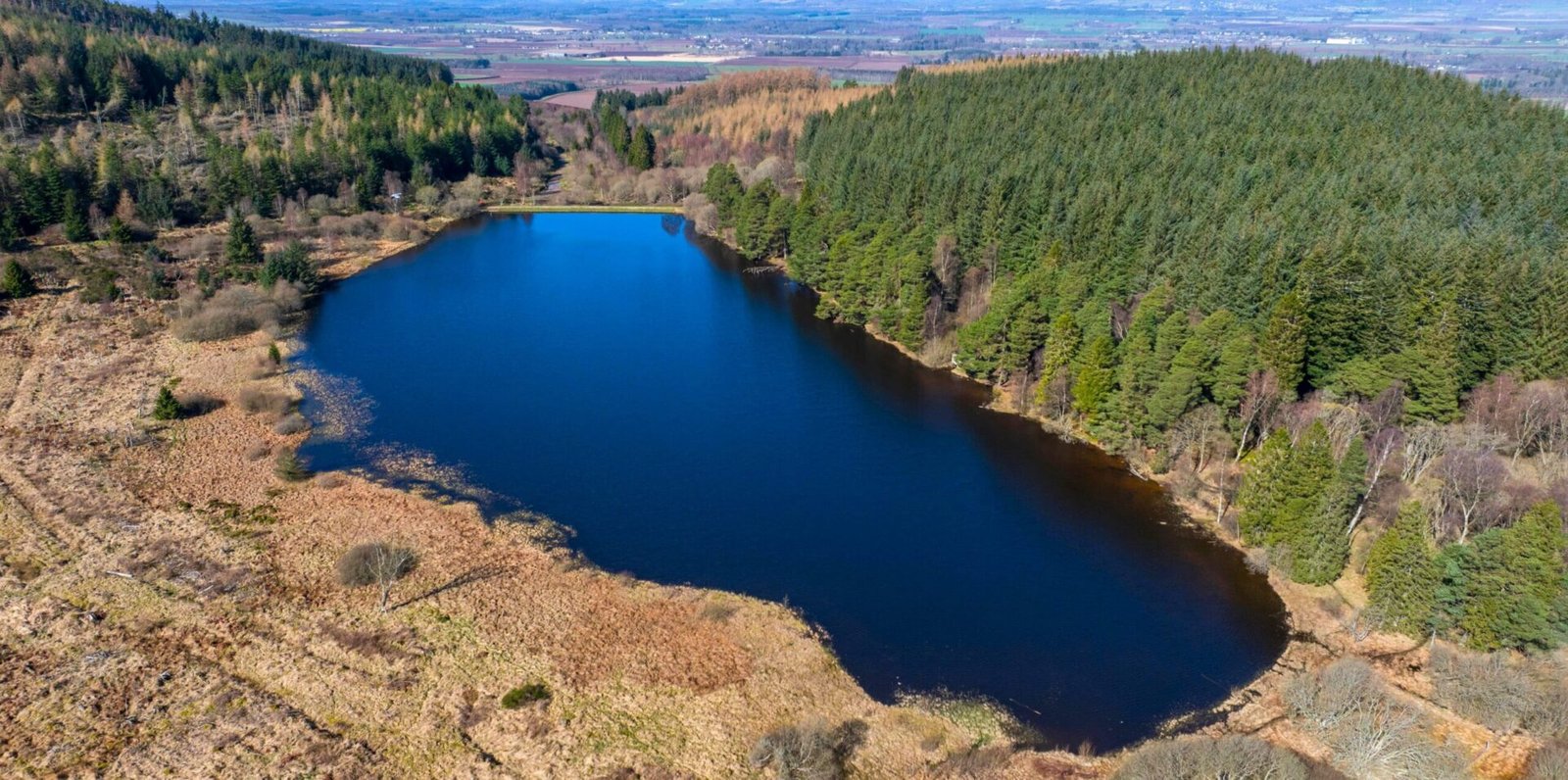 A stunning Scottish loch with 59 acres of protected ancient woodland near Dundee is on sale for just £175,000, offering a rare conservation gem for nature lovers and stewardship enthusiasts.