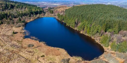 A stunning Scottish loch with 59 acres of protected ancient woodland near Dundee is on sale for just £175,000, offering a rare conservation gem for nature lovers and stewardship enthusiasts.