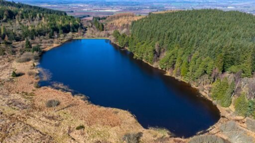 A stunning Scottish loch with 59 acres of protected ancient woodland near Dundee is on sale for just £175,000, offering a rare conservation gem for nature lovers and stewardship enthusiasts.