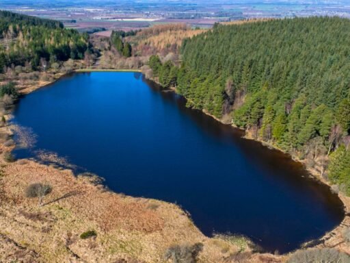 A stunning Scottish loch with 59 acres of protected ancient woodland near Dundee is on sale for just £175,000, offering a rare conservation gem for nature lovers and stewardship enthusiasts.