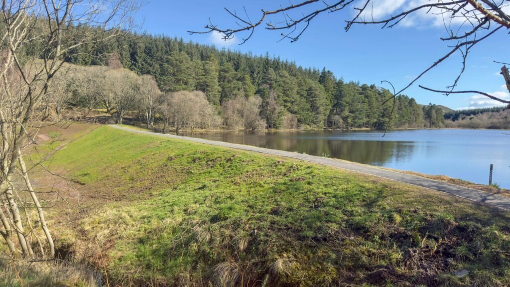 A stunning Scottish loch with 59 acres of protected ancient woodland near Dundee is on sale for just £175,000, offering a rare conservation gem for nature lovers and stewardship enthusiasts.