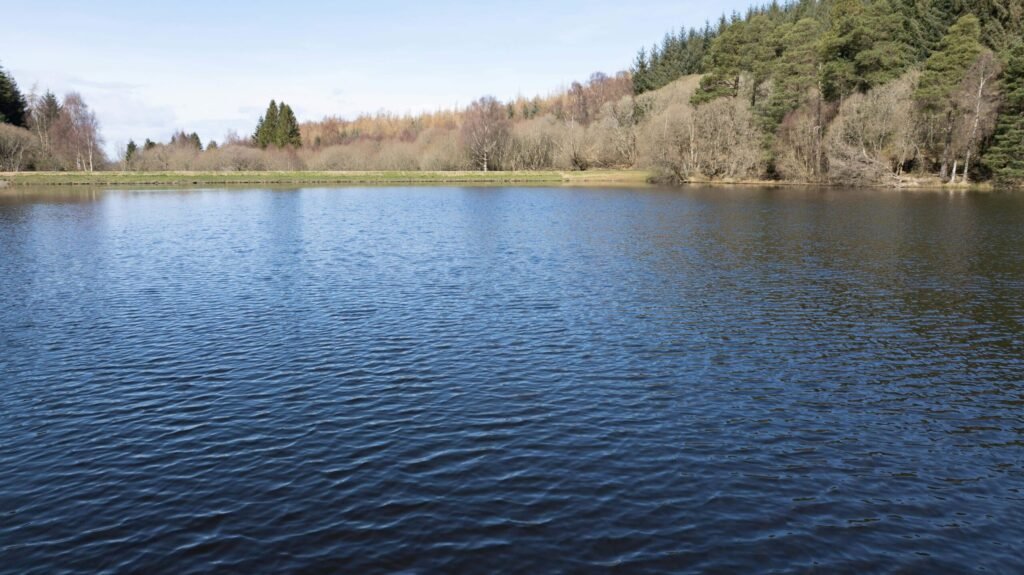 A stunning Scottish loch with 59 acres of protected ancient woodland near Dundee is on sale for just £175,000, offering a rare conservation gem for nature lovers and stewardship enthusiasts.