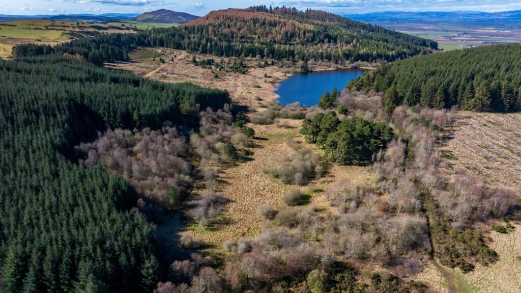 A stunning Scottish loch with 59 acres of protected ancient woodland near Dundee is on sale for just £175,000, offering a rare conservation gem for nature lovers and stewardship enthusiasts.