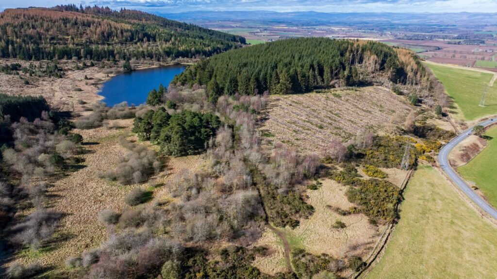 A stunning Scottish loch with 59 acres of protected ancient woodland near Dundee is on sale for just £175,000, offering a rare conservation gem for nature lovers and stewardship enthusiasts.