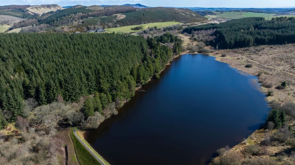 A stunning Scottish loch with 59 acres of protected ancient woodland near Dundee is on sale for just £175,000, offering a rare conservation gem for nature lovers and stewardship enthusiasts.