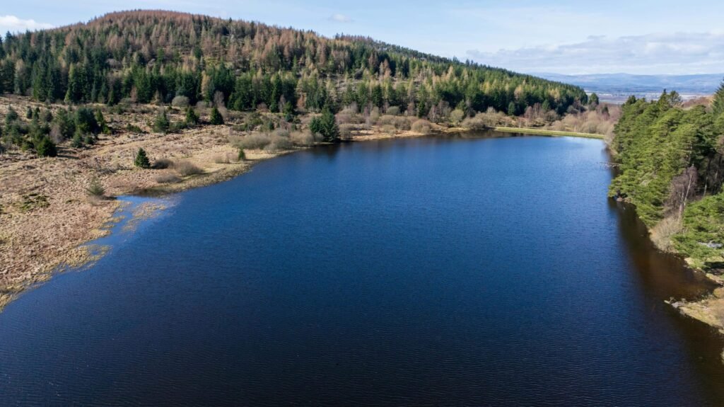 A stunning Scottish loch with 59 acres of protected ancient woodland near Dundee is on sale for just £175,000, offering a rare conservation gem for nature lovers and stewardship enthusiasts.