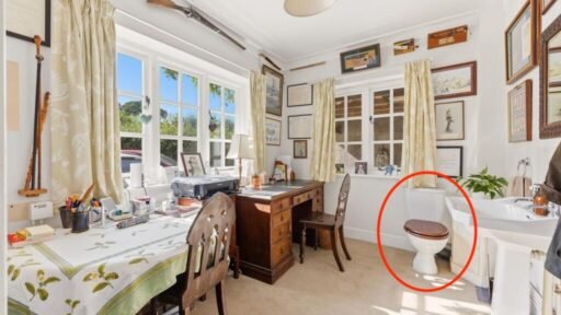 A £650,000 Somerset cottage is turning heads for all the wrong reasons - eagle-eyed house hunters spotted a fully functioning toilet sitting in the middle of the downstairs study.