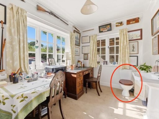 A £650,000 Somerset cottage is turning heads for all the wrong reasons - eagle-eyed house hunters spotted a fully functioning toilet sitting in the middle of the downstairs study.