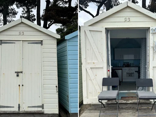 A beach hut with no toilet or shower and barely room to swing a cat is on sale for £105,000 - and it sits on one of Dorset's most sought-after stretches of coastline.