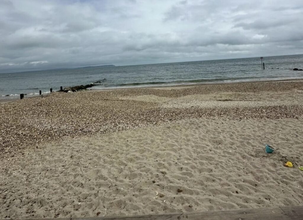A beach hut with no toilet or shower and barely room to swing a cat is on sale for £105,000 - and it sits on one of Dorset's most sought-after stretches of coastline.