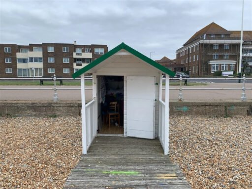 A tiny 6ft by 7ft beach hut on a shingle beach in East Sussex has gone on sale for £40,000 - the price of a luxury car - with locals branding the cost "mad".