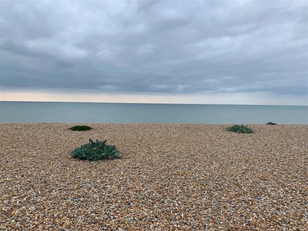 A tiny 6ft by 7ft beach hut on a shingle beach in East Sussex has gone on sale for £40,000 - the price of a luxury car - with locals branding the cost "mad".
