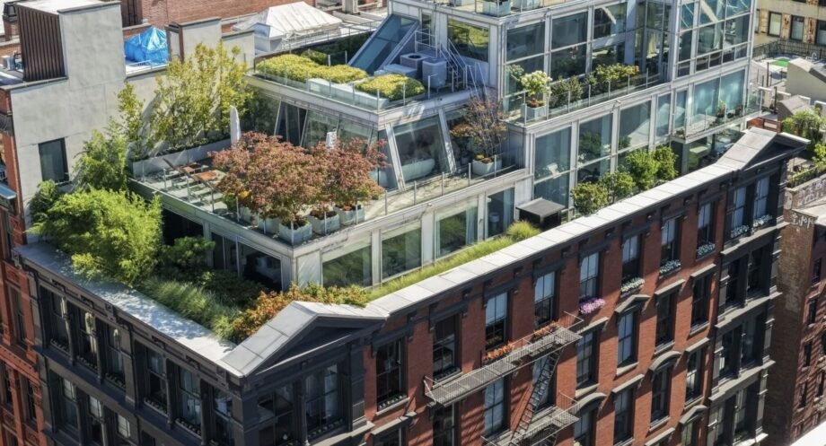 Arsenal legend Thierry Henry has relisted his SoHo penthouse for $25million after slashing the price - and it comes with a huge rooftop with views of the Brooklyn Bridge.