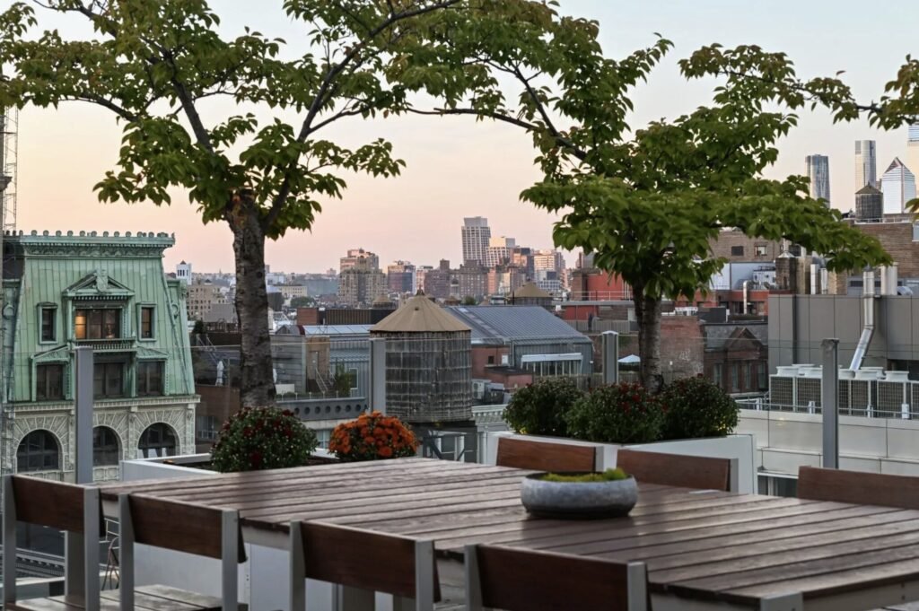 Arsenal legend Thierry Henry has relisted his SoHo penthouse for $25million after slashing the price - and it comes with a huge rooftop with views of the Brooklyn Bridge.