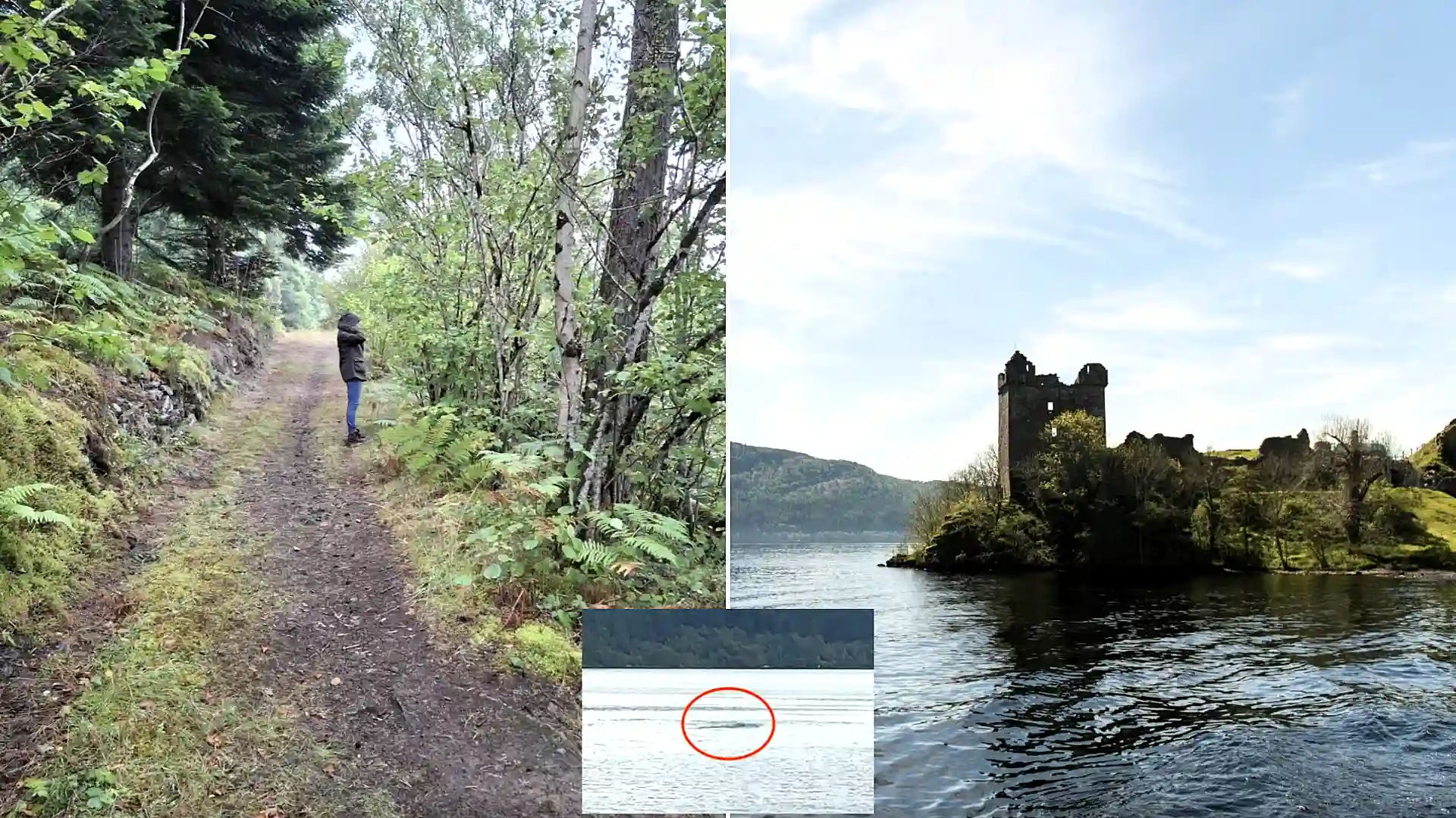 A mile-long stretch of iconic Loch Ness has gone on the market for just £95,000 - complete with fishing rights and direct access to the legendary waters.