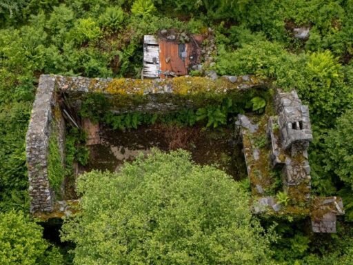 One of Britain's most historic homes is on sale for just £17,000 - but it has no roof, no floor and a spooky past involving a poet's eerie Christmas death.