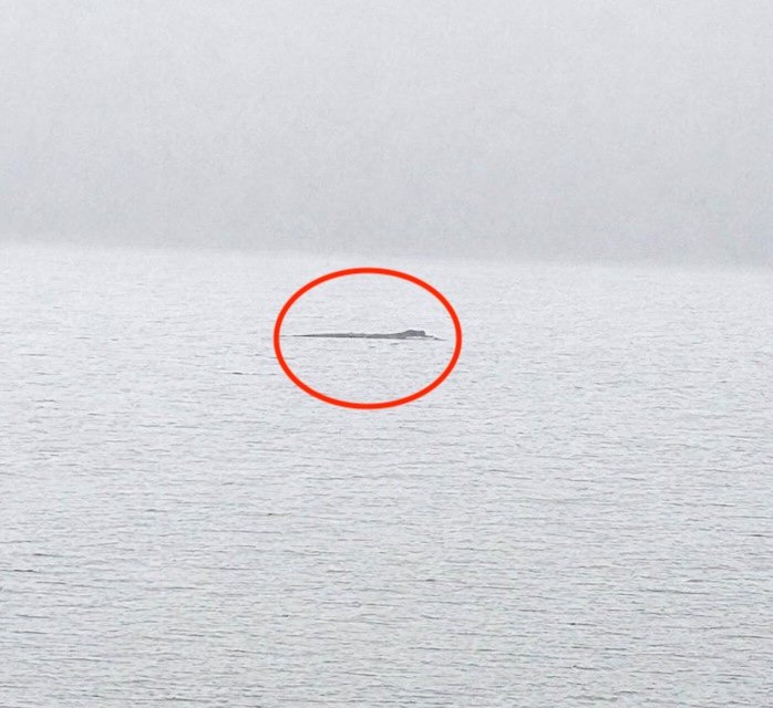 A mile-long stretch of iconic Loch Ness has gone on the market for just £95,000 - complete with fishing rights and direct access to the legendary waters.