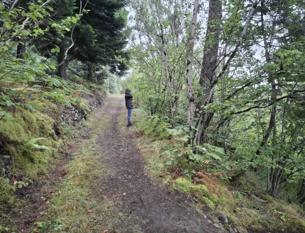 A mile-long stretch of iconic Loch Ness has gone on the market for just £95,000 - complete with fishing rights and direct access to the legendary waters.
