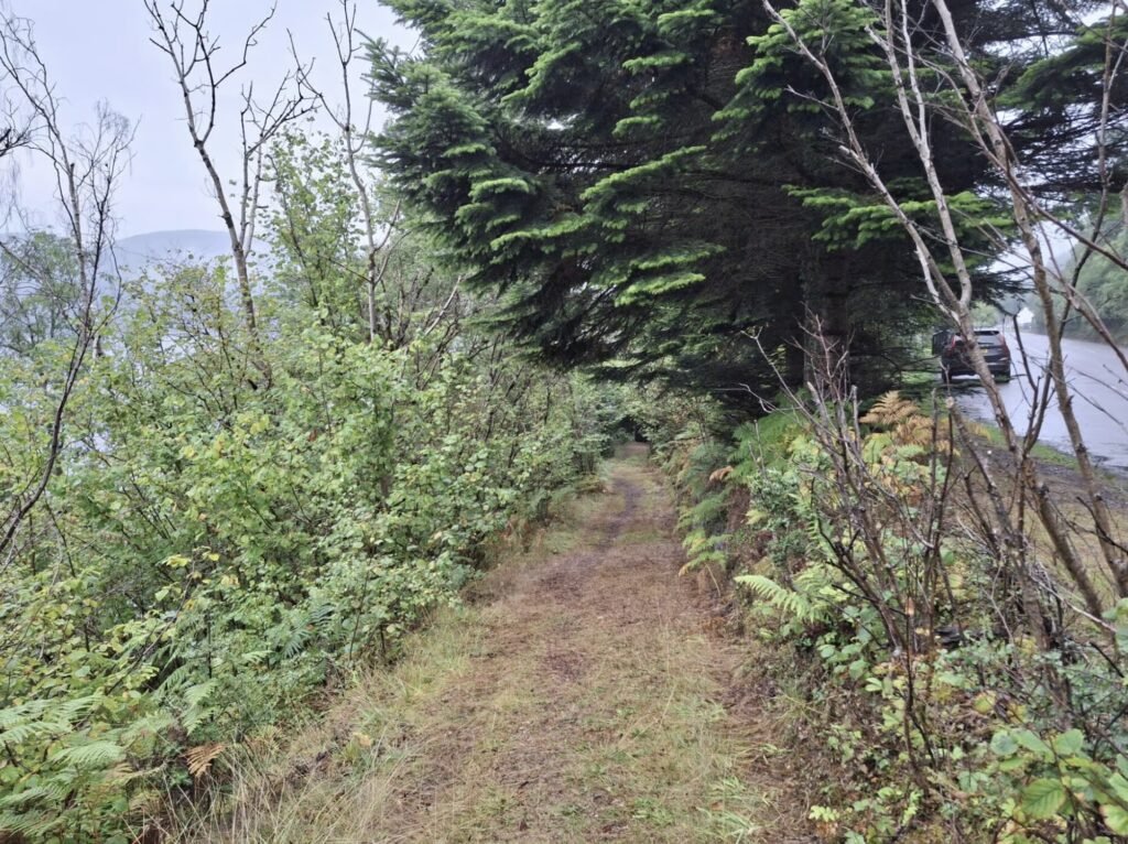 A mile-long stretch of iconic Loch Ness has gone on the market for just £95,000 - complete with fishing rights and direct access to the legendary waters.